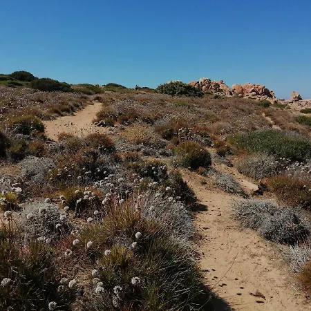 Cala Sardinia Lägenhet Viddalba