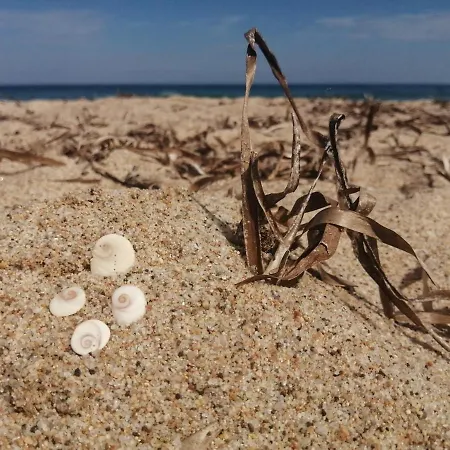 Cala Sardinia Διαμέρισμα
